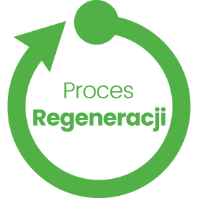 innio-pl-proces-regeneracji-logo