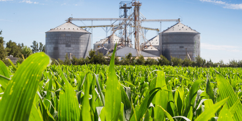 Dispatchable Renewable Fuels in the USA