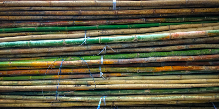 IN.INNIO - Brazil Sugar - Header